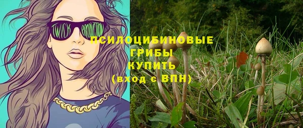 МДМА Богданович