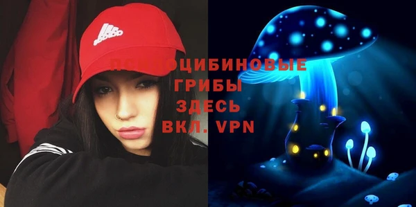 МДМА Богданович
