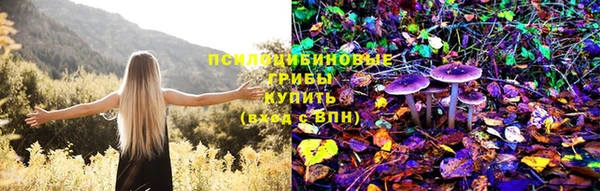 МДМА Богданович